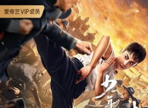 [10.13][中国][动作][少年叶问危机时刻][WEB.1080p-MKV/2G][国语中字][2020新片] ...